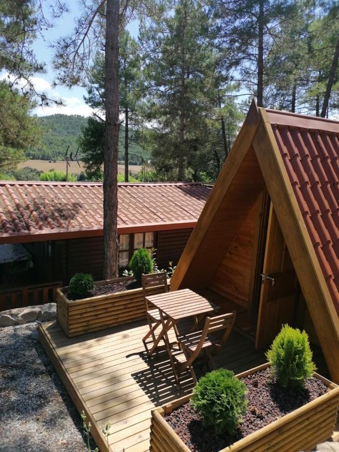 Camping La Ribera Salada Ogern المظهر الخارجي الصورة